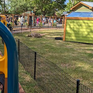 Oasis Outpost - sulcata tortoise