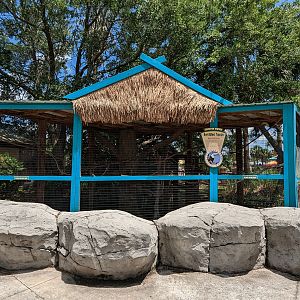 Splash Island - keel billed toucan