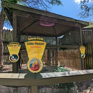 Giraffe overlook - aviary