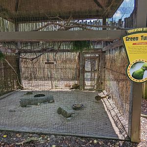 Giraffe overlook - Aviary