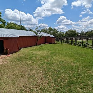 Giraffe overlook - wallaby