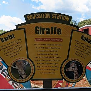 Giraffe overlook - sign