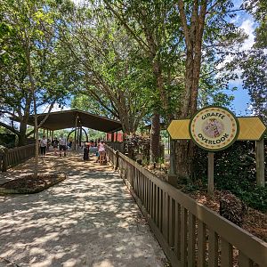 Giraffe overlook - entrance