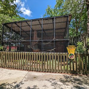 Giraffe overlook - red ruffed lemurs