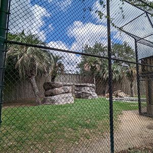 Tiger enclosure