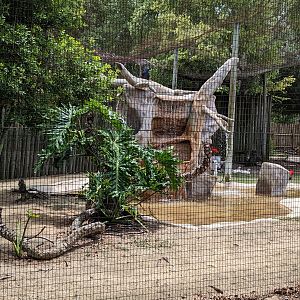 Safari Train - flamingo aviary