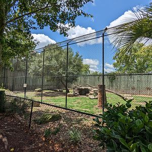 African lion enclosure