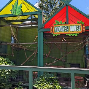 Monkey House - squirrel monkey