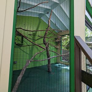 Alapaha Trail  - Sloth