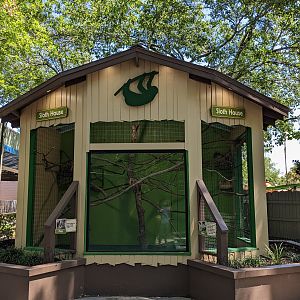 Alapaha Trail - sloth