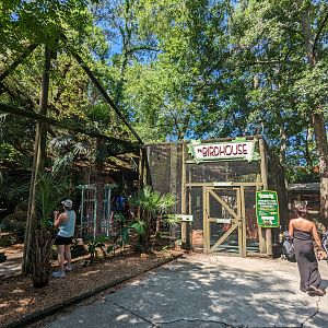 Alapaha Trail - Bird House