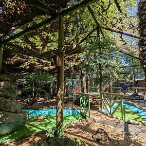 Alapaha Trail - Bird House