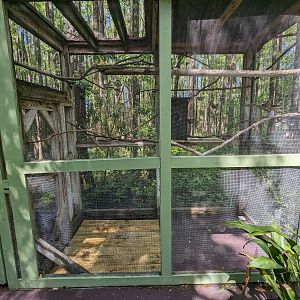 Alapaha Trail - diamond dove