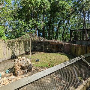 Alapaha Trail - sandhill crane aviary