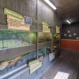 Alapaha Trail - snakes