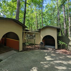 Alapaha Trail - Black bear habitat entrance
