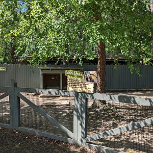 Kiddie area - sulcata tortoise