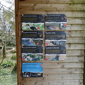 Species in African aviary