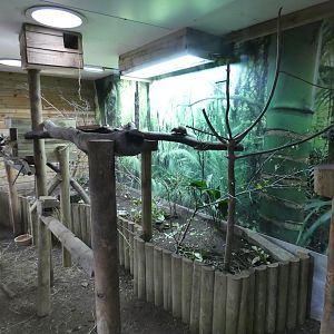 Belanger's tree shrew and Northern Luzon cloud rat enclosure