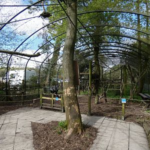 Lemur walk-through enclosure