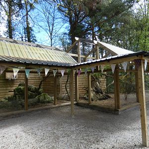 Scottish wildcat enclosure