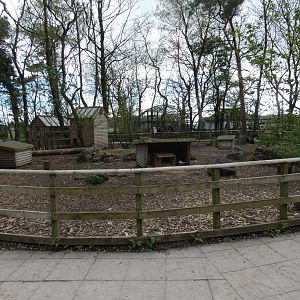 Parma wallaby enclosure