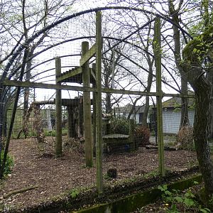 Snow leopard enclosure