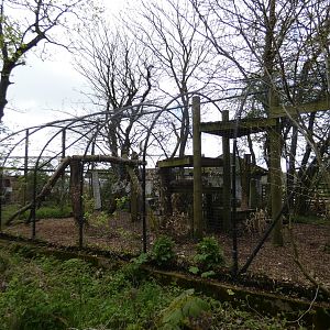 Snow leopard enclosure side-view