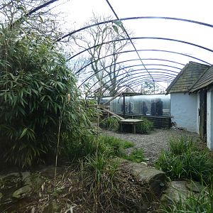 Snow leopard enclosure