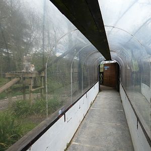 Snow leopard viewing tunnel