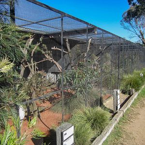 Aviaries