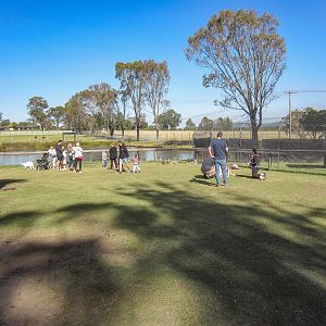 Macropod walkthrough