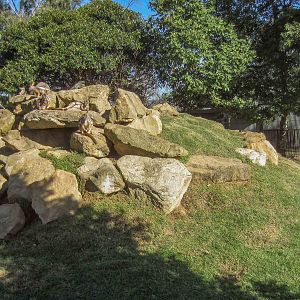 Yellow-footed Rock-wallaby and Bustard enclosure