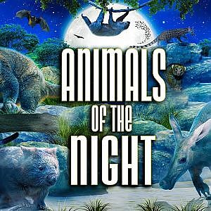 Animals of the Night | Zoo Tours