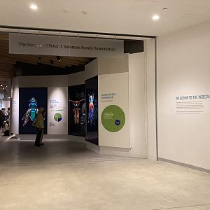 New Insectarium- Entrance 1