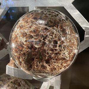 New Insectarium- Leaf Cutter Ant Fungal Chamber