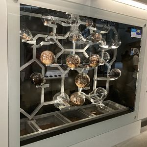 New Insectarium- Leaf Cutter Ant Colony with ~20 Fungal Chambers