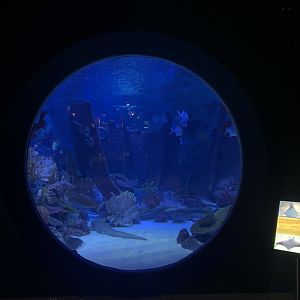 Viewing area Emaar aquarium