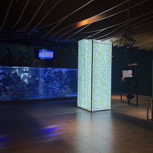 Area past the ticket booth at the Emaar aquarium