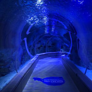 Tunnel aquarium at the Emaar aquarium