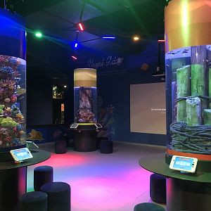 Interactive play area at the Emaar aquarium