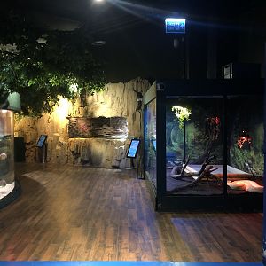 Entrance to the Jungle Area at Emaar aquarium