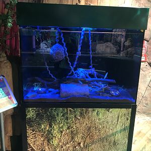 Sugar glider enclosure at Emaar aquarium