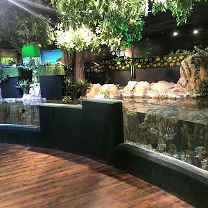 Tank by the jungle area path at the Emaar aquarium