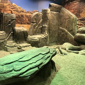 Meerkat enclosure at the Emaar aquarium