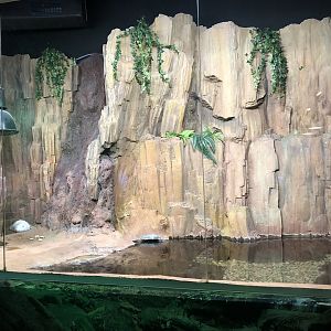 Coypu enclosure at the Emaar aquarium