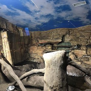 Raccoon enclosure at the Emaar aquarium