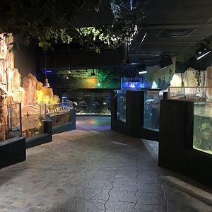 Final hallway at the Emaar aquarium