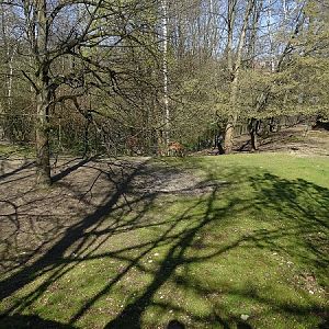 Nyala enclosure (04/2023)