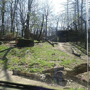 Giant anteater enclosure (04/2023)